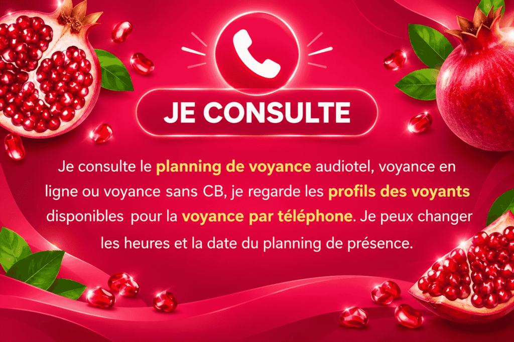je consule Voyance audiotel équipe 1