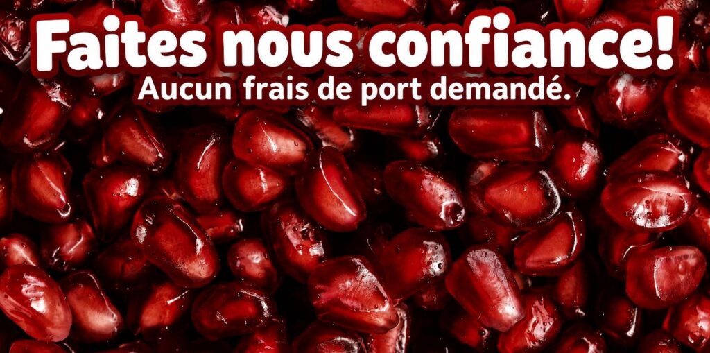 Voyance Grenadine 43 Pied de page voyance grenadine voyance a prix réduit
